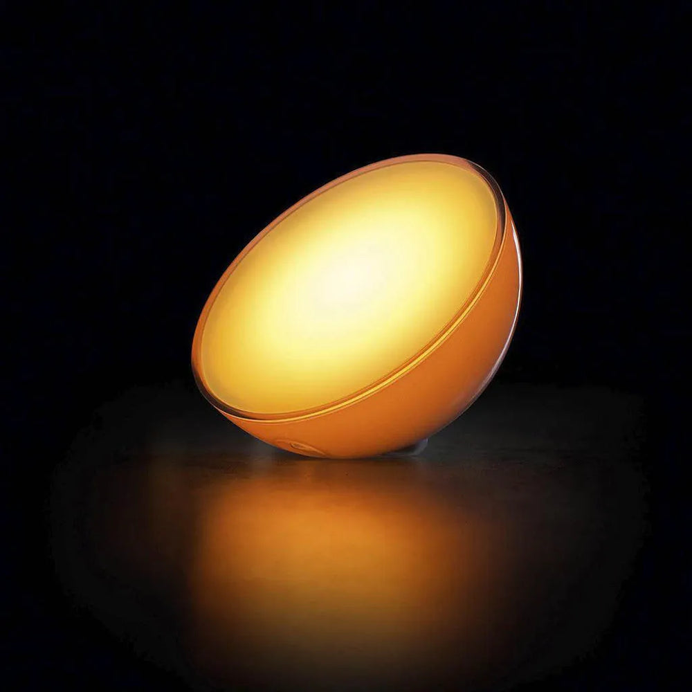 
                      
                        Philips Hue GO
                      
                    